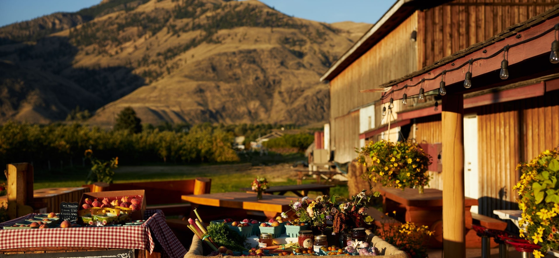 Harkers Organic grocery store in Similkameen
