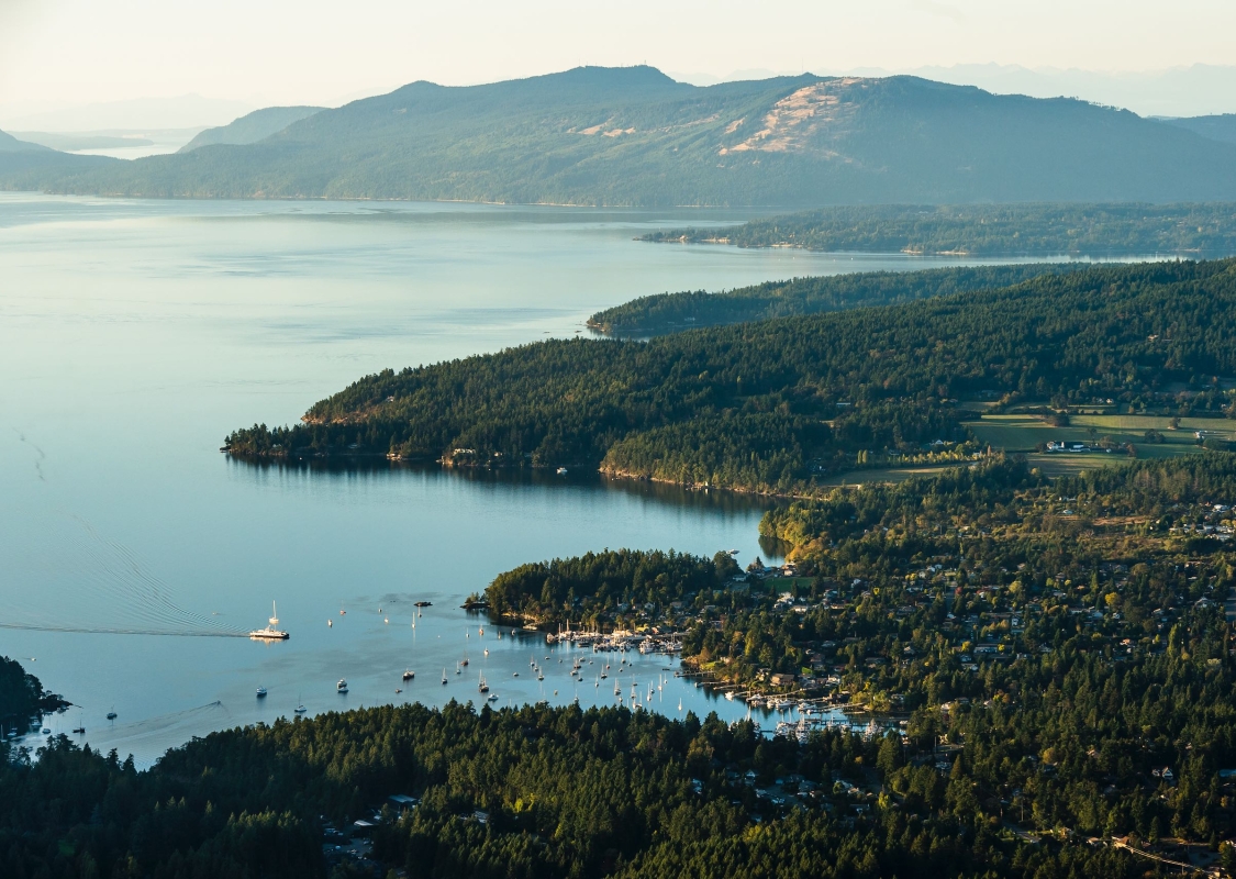Aerial shot of Brentwood Bay