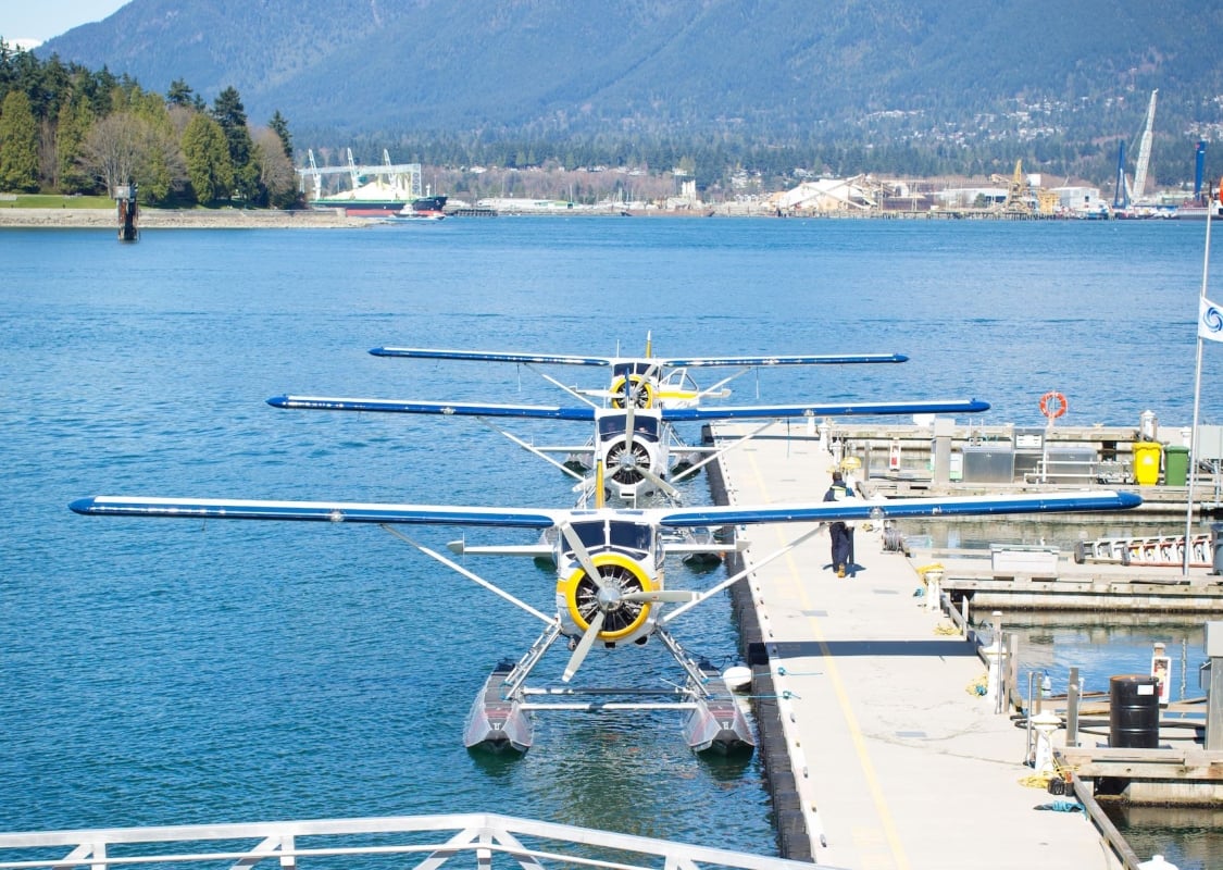 Harbour Air planes resting on the water