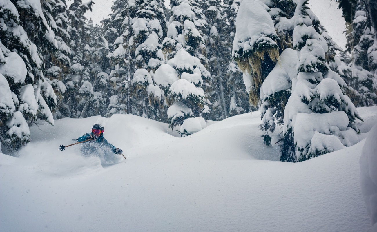 Tree Skiing in Whistler Blackcomb