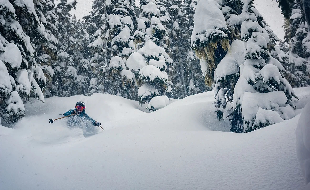 Tree Skiing in Whistler Blackcomb