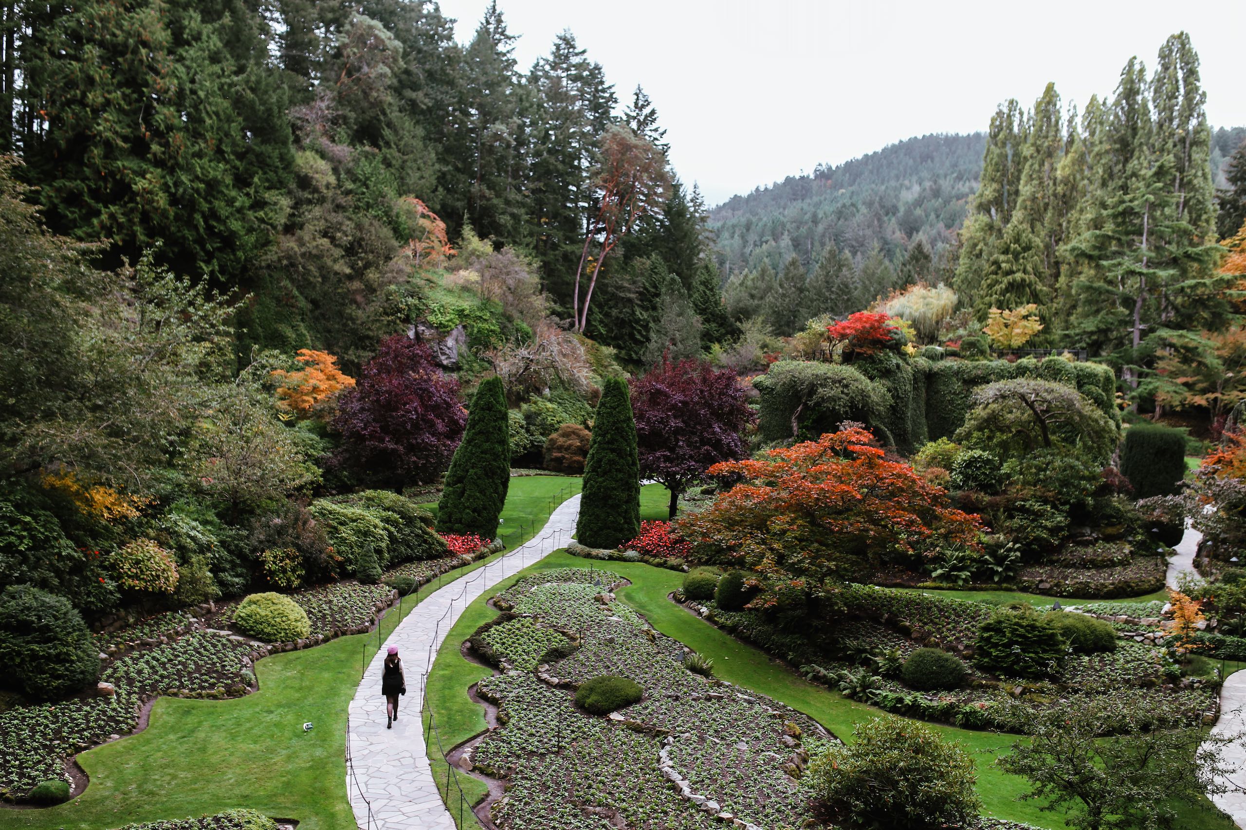 Person walks along a paved path through a manicured garden.