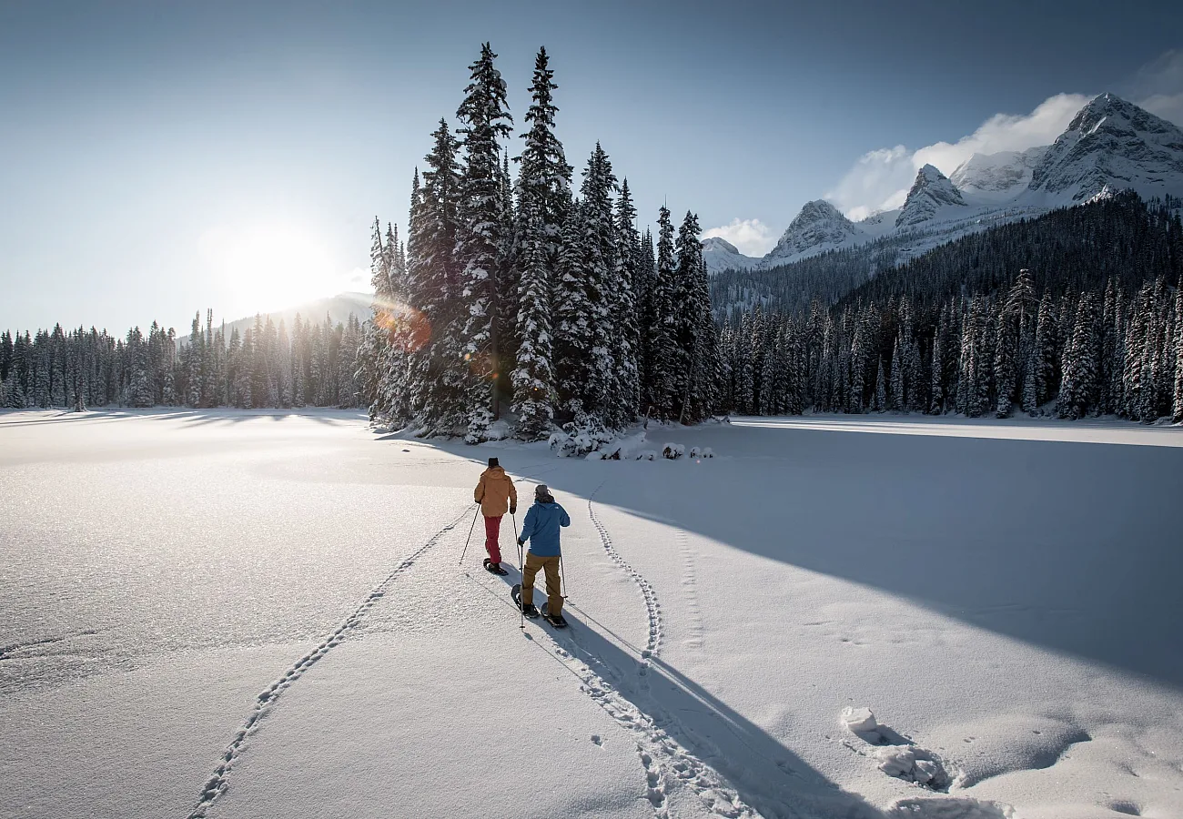 Dos personas caminan con raquetas de nieve en un bosque antiguo en Island Lake Lodge.