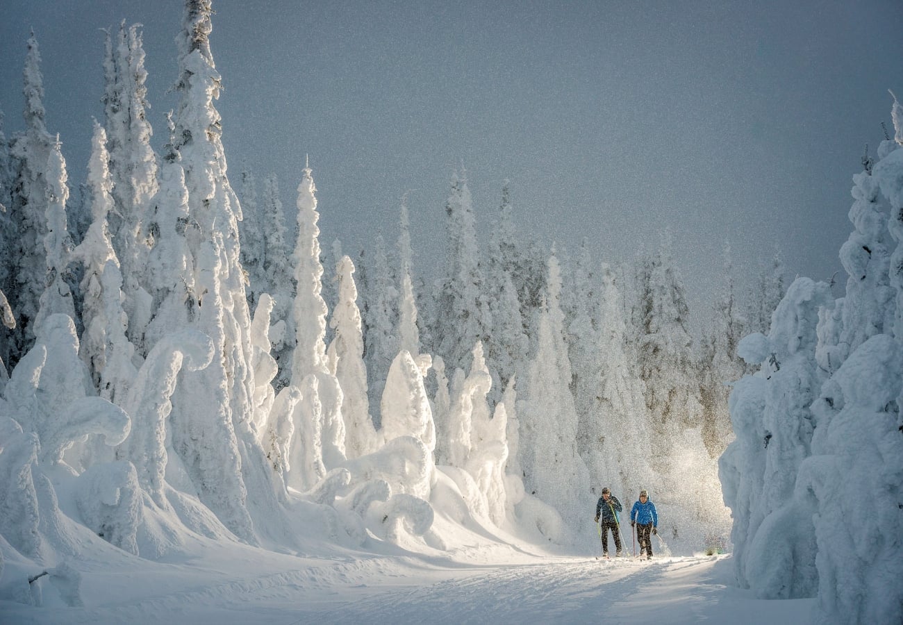 Langlaufen in British Columbia, Kanada.
