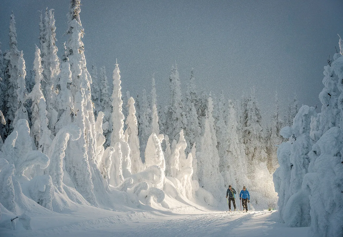 Esquí de fondo en BC Canadá.