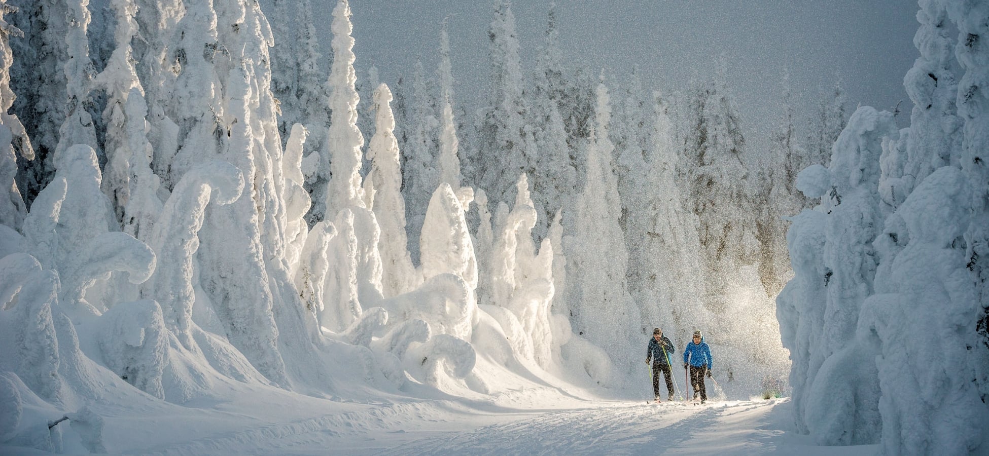 Cross-country Skiing in BC Canada