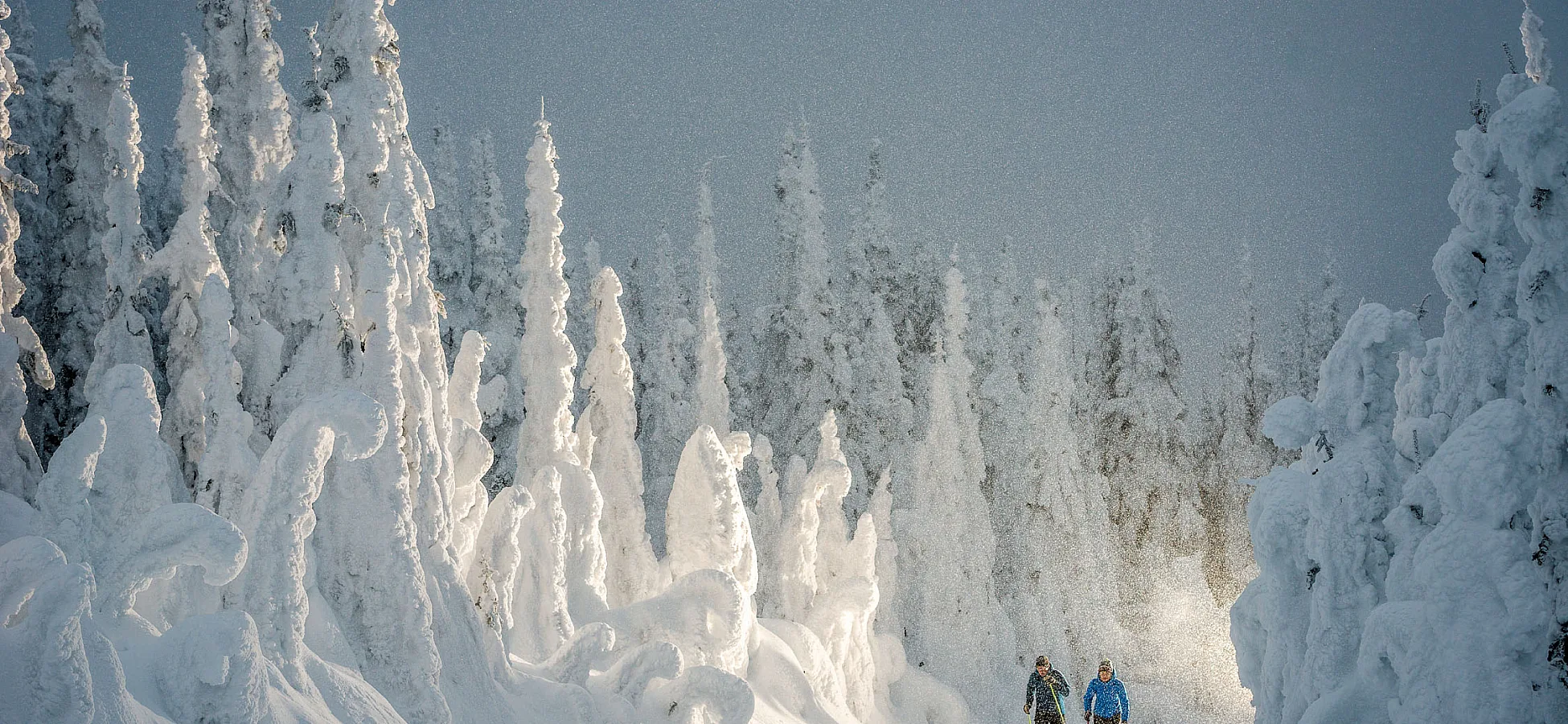 Langlaufen in British Columbia, Kanada.