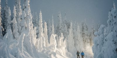 Cross-country Skiing in BC Canada