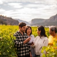 A family picking grapes at Blue Mountain Winery and Cellars in Okanagan Falls.