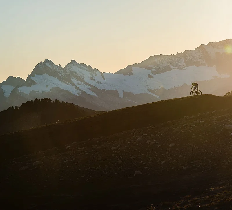 Person biking up a mountain in Whistler, BC