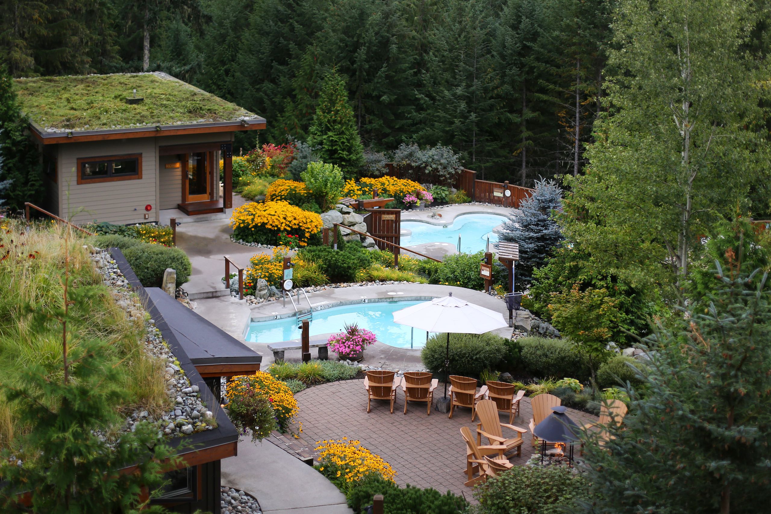 Pool Area at a resort