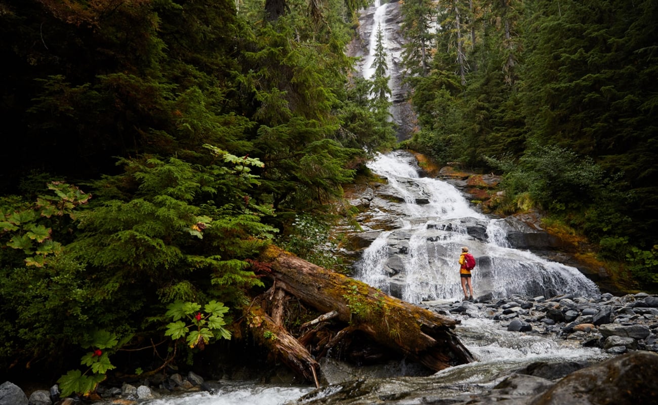 A person stands on a rocky outcropping near a beautiful waterfall surrounded by forest.