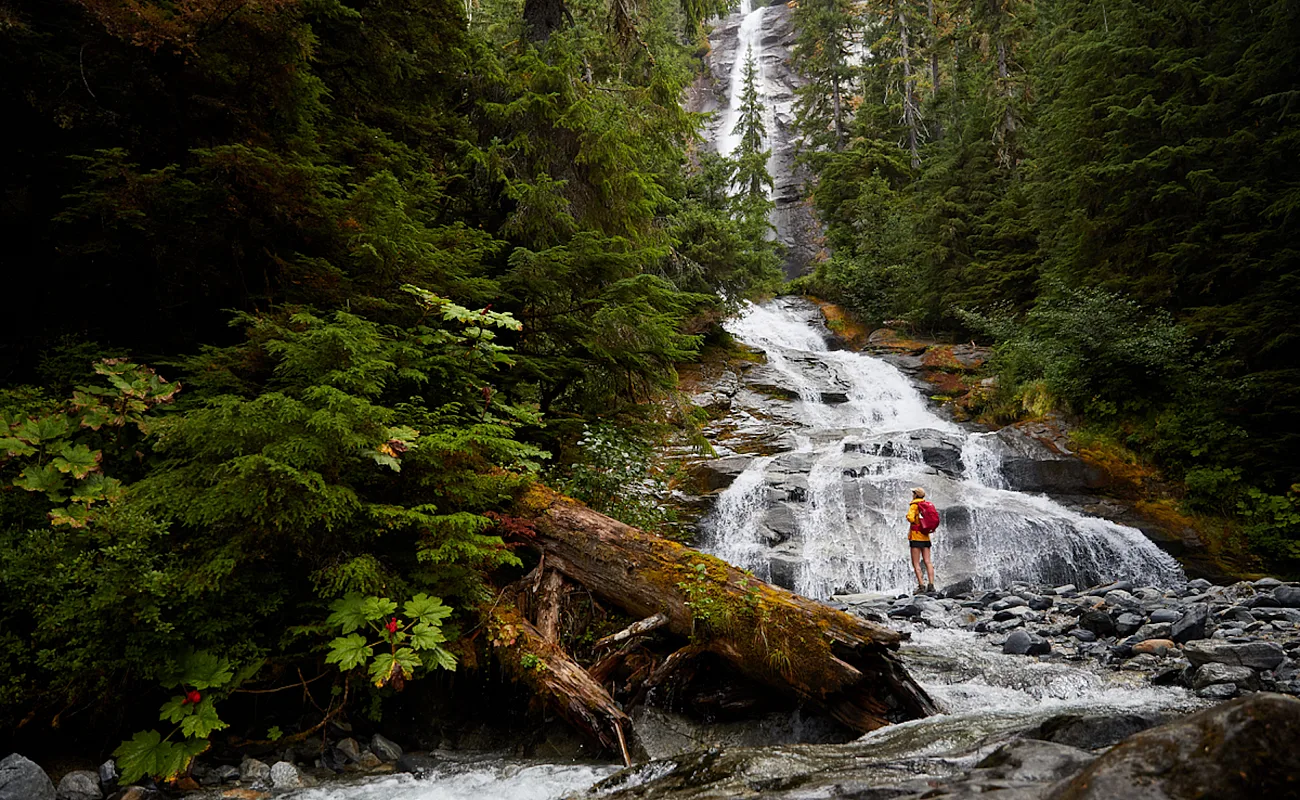 A person stands on a rocky outcropping near a beautiful waterfall surrounded by forest.