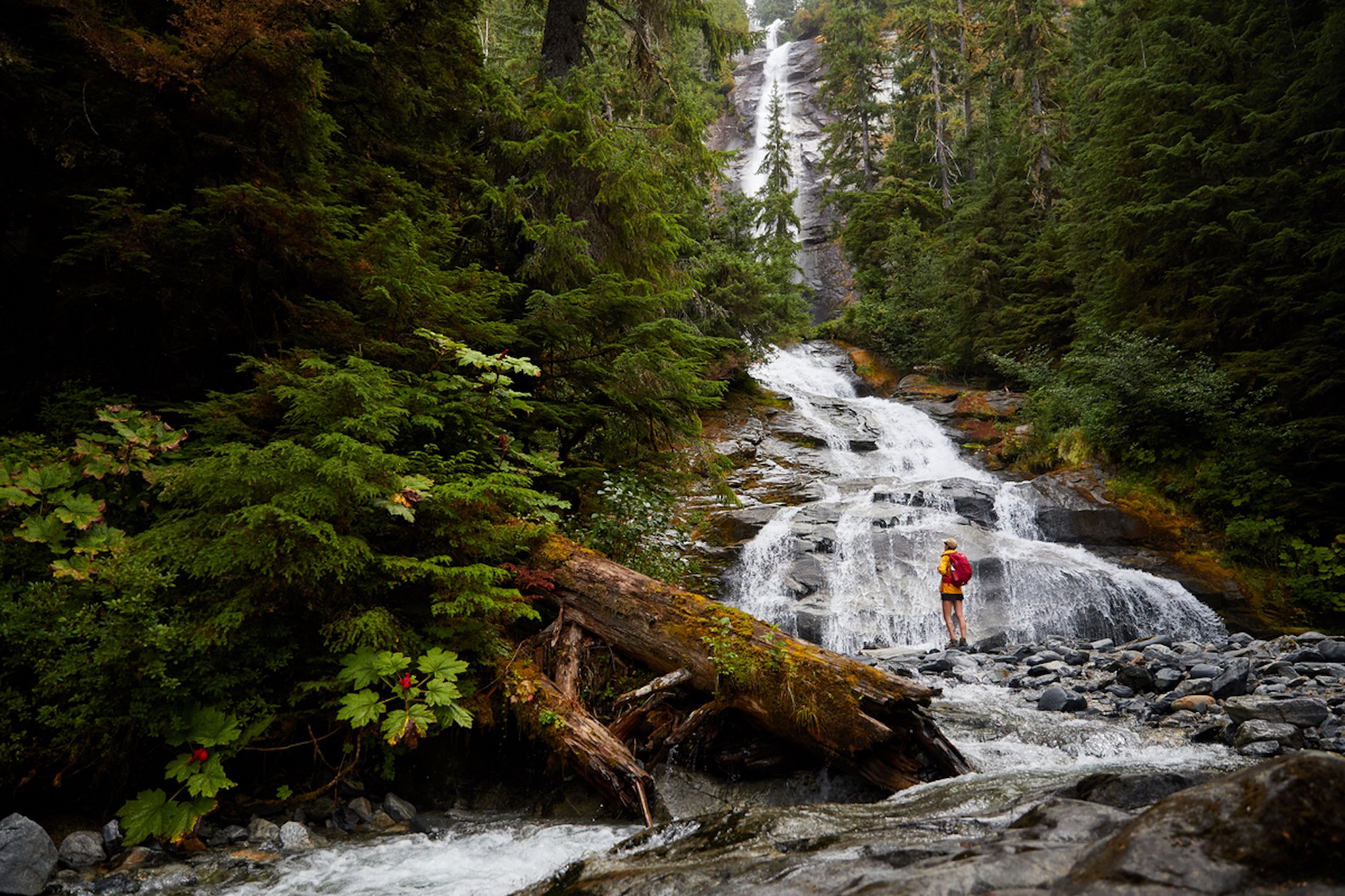 A person stands on a rocky outcropping near a beautiful waterfall surrounded by forest.