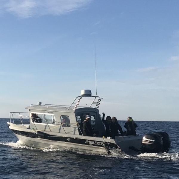 A boat on a whale watching trip in BC
