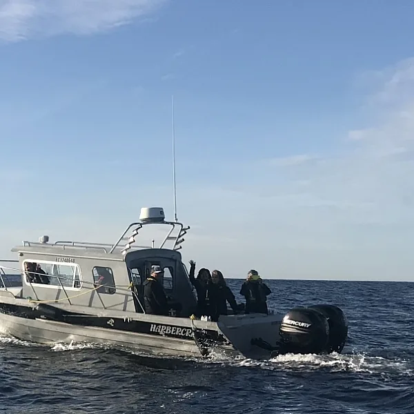 Un barco en un viaje de avistamiento de ballenas en la Columbia Británica
