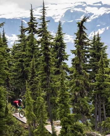 Three-Day Getaway: Beyond the Comox Valley 3