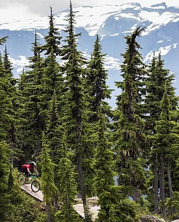 Three-Day Getaway: Beyond the Comox Valley 3