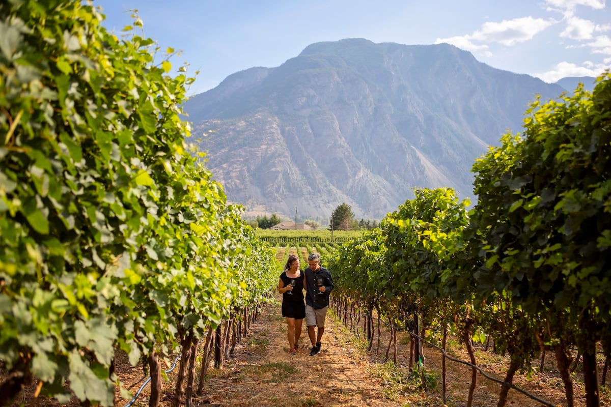 Two people walking through the vineyards at Corcelettes Estate Winery