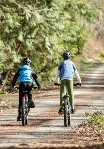 Three people riding mountain bikes on the Watershed Park biking trail in Delta.