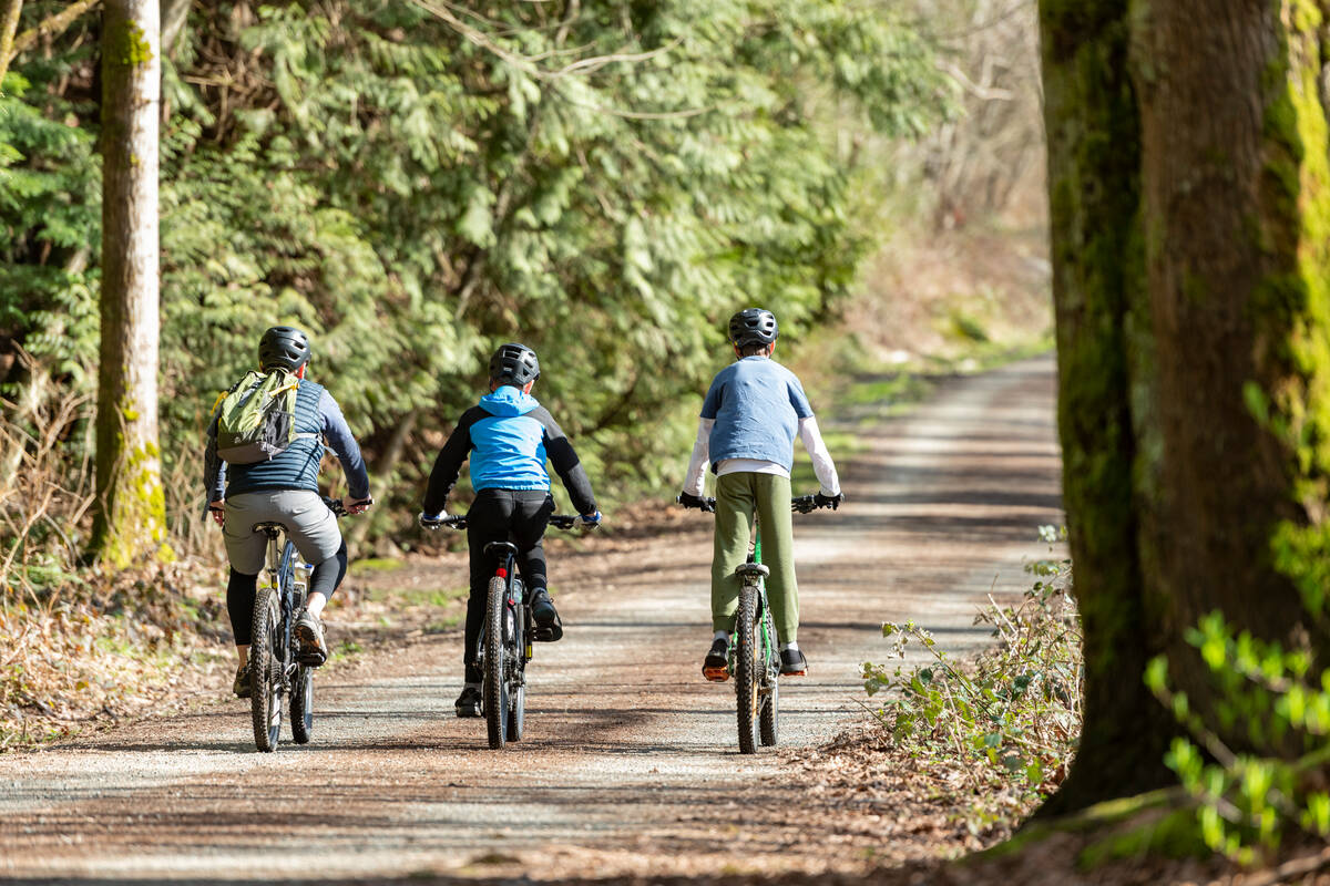Three people riding mountain bikes on the Watershed Park biking trail in Delta.