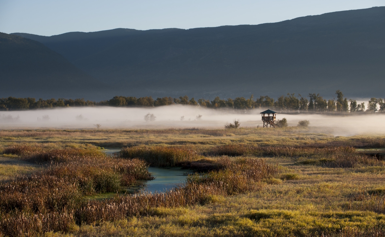 Creston Valley Wildlife Management Area