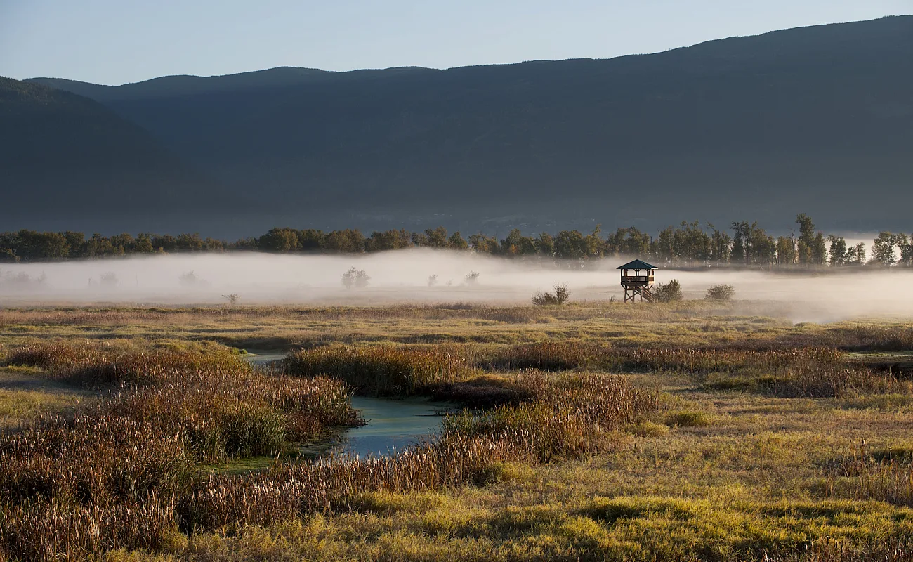 Creston Valley Wildlife Management Area