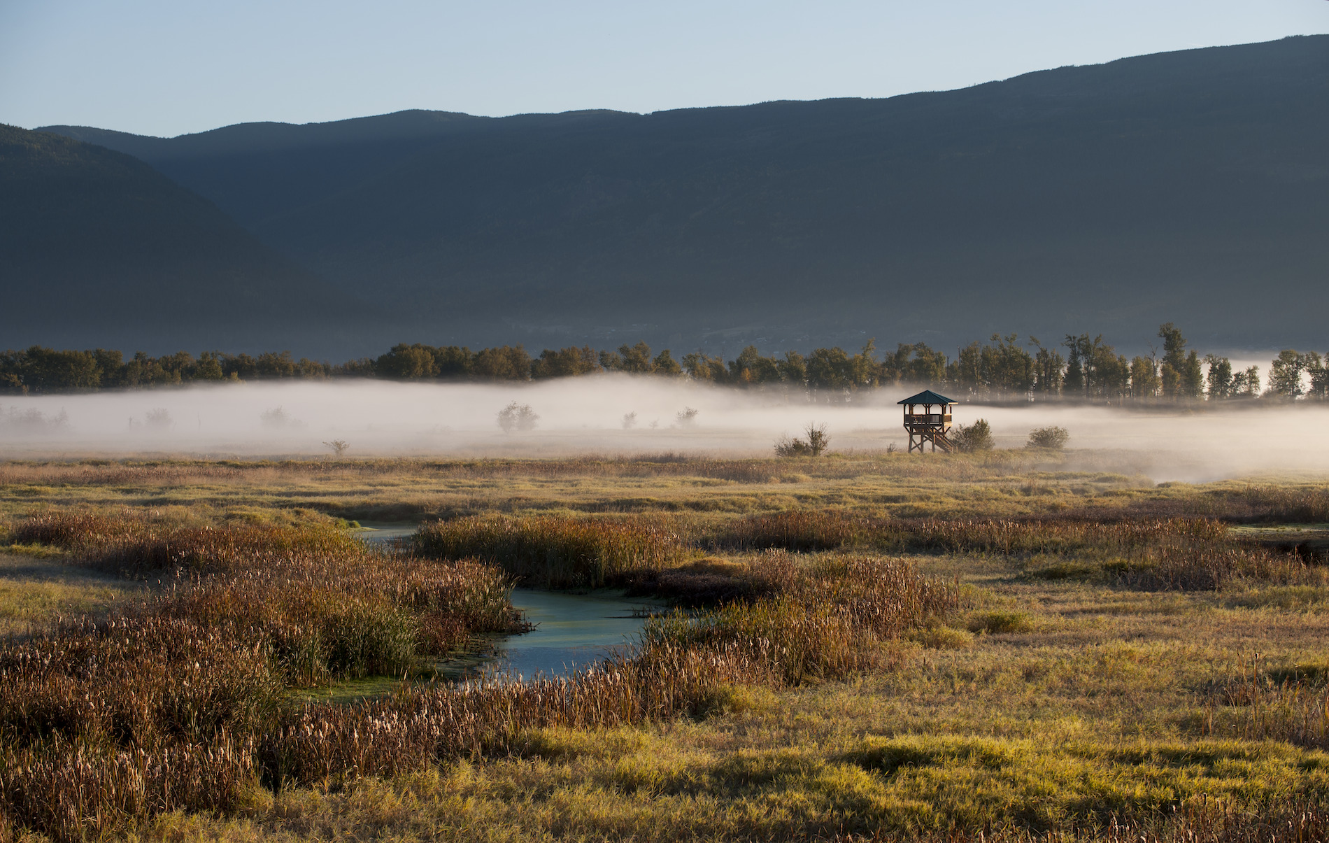 Creston Valley Wildlife Management Area
