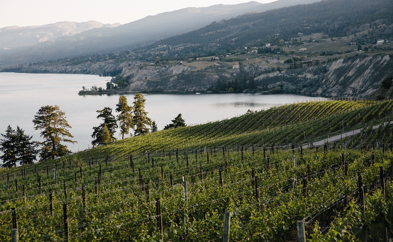 Naramata Bench | Grant Harder