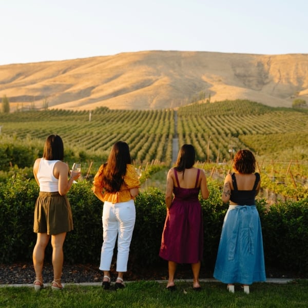 Wine tours in Washington