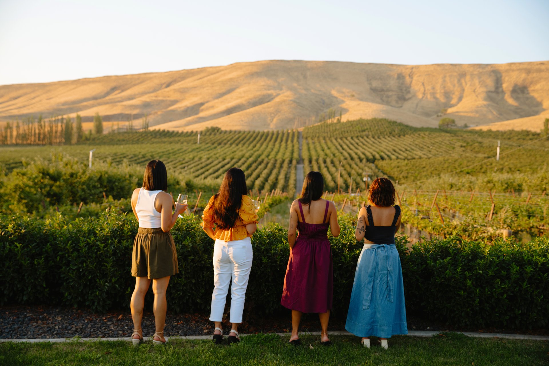 Wine tours in Washington