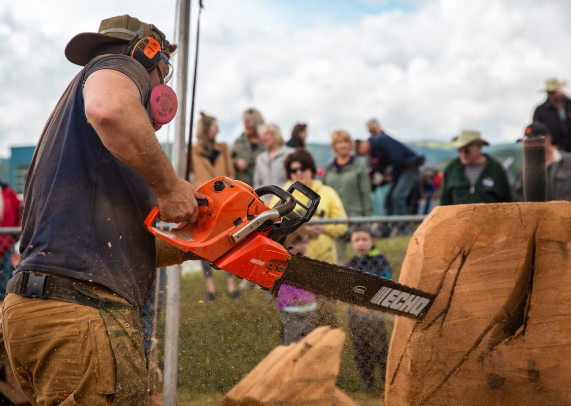 n Chetwynd International Chainsaw Carving Competition