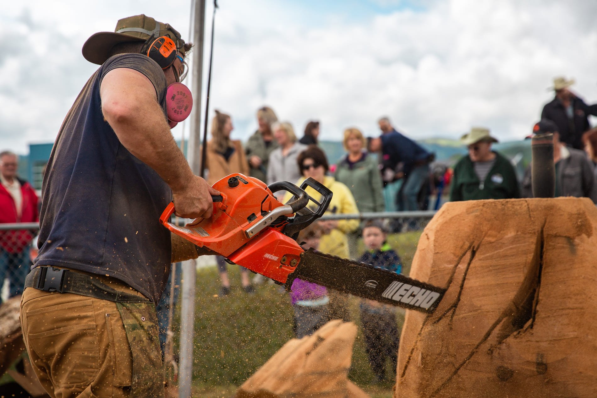 n Chetwynd International Chainsaw Carving Competition
