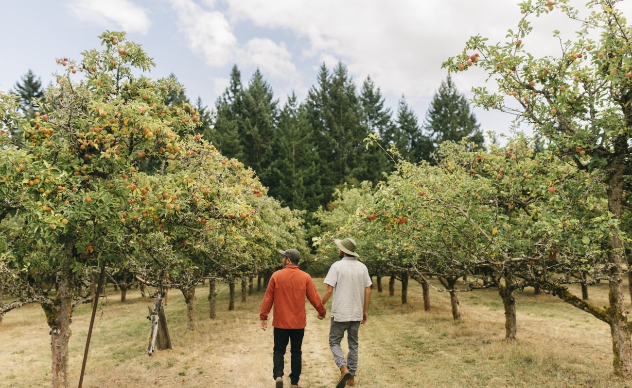 Two men stroll through Merridale Cidery