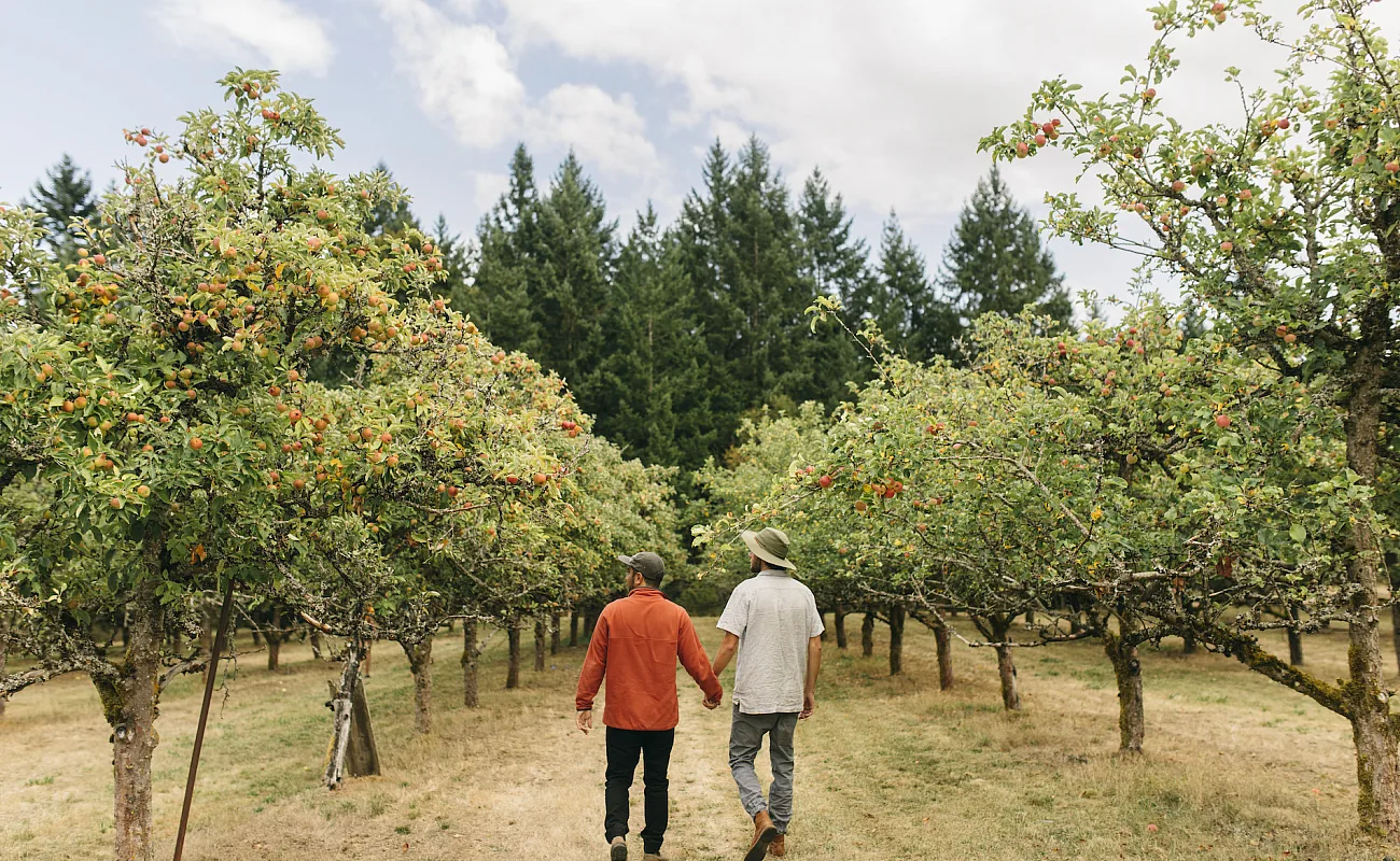 Two men stroll through Merridale Cidery