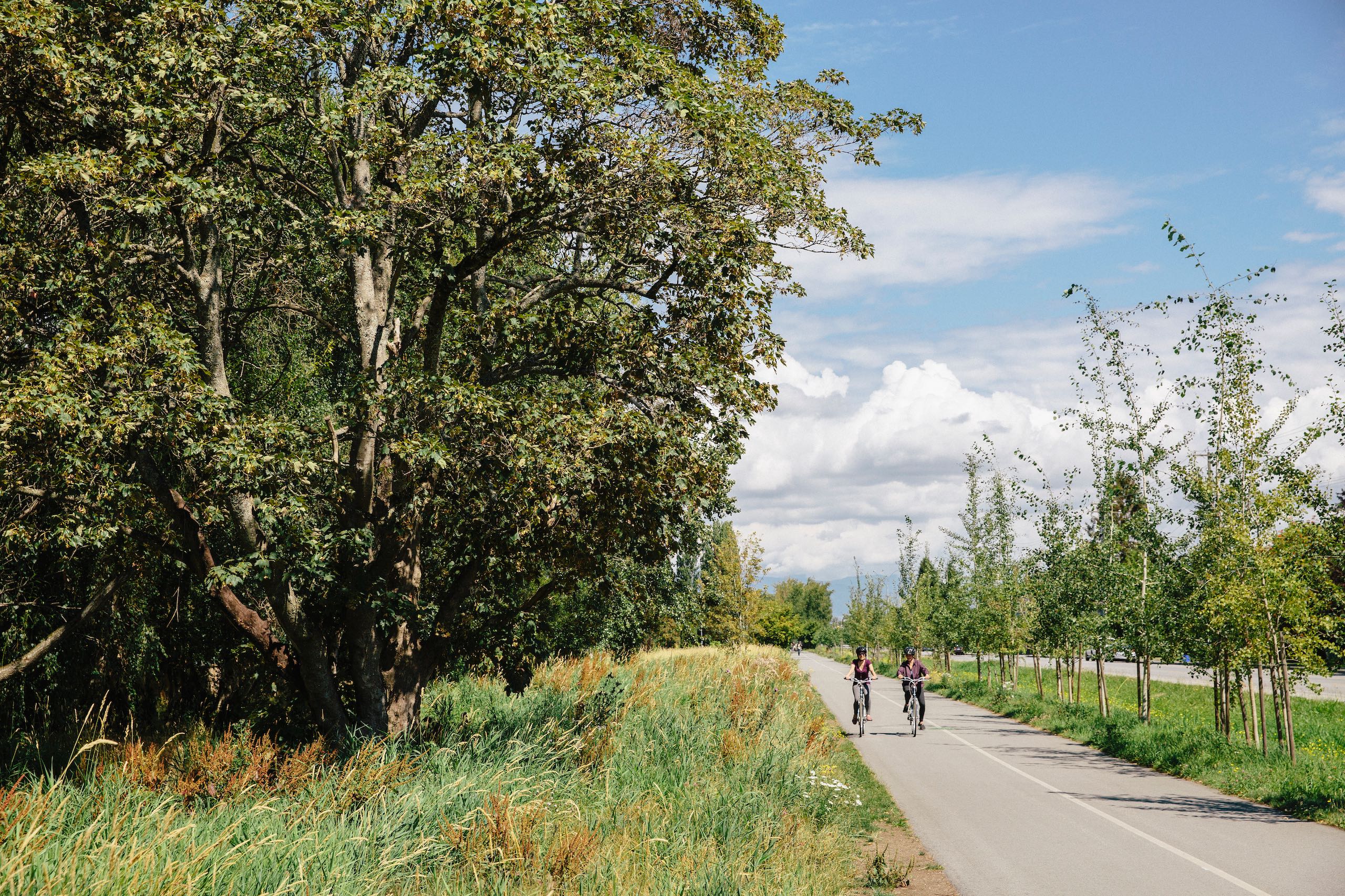 Two people are biking along a paved road on the Railway Greenway Trail along Railway Ave, Richmond