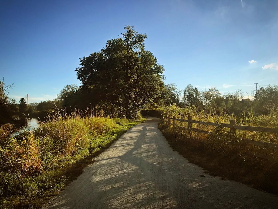 A gravel path bathed in sunlight with a wooden fence on the right side, leading to a forested area filled with trees.