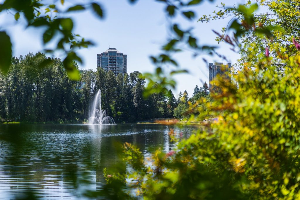 A view of Larfarge Lake through a couple branches of foliage where there is a water fountain and a row of trees sitting behind it.