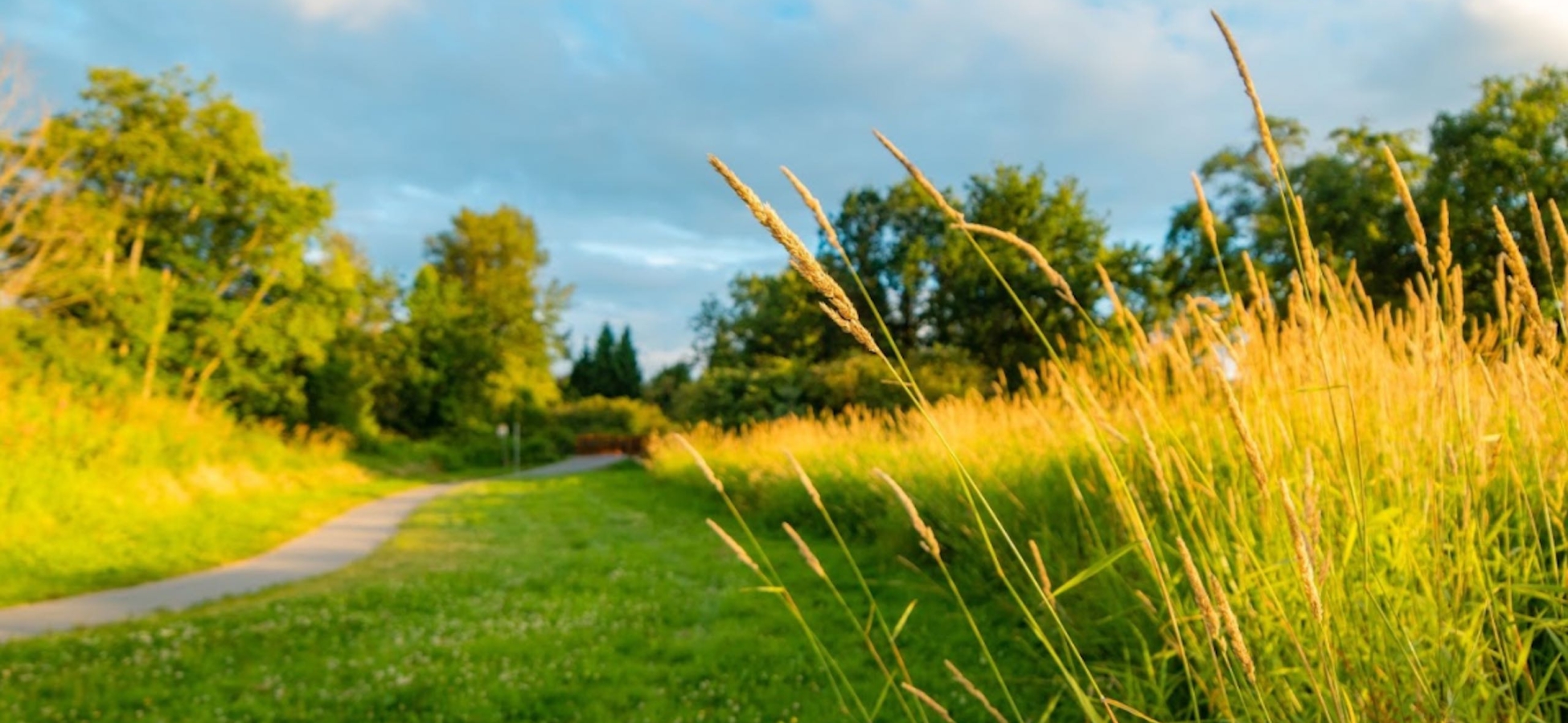 A thin gravel path cuts across a field of green grass with various trees in the background on a sunny day with clouds in the sky.