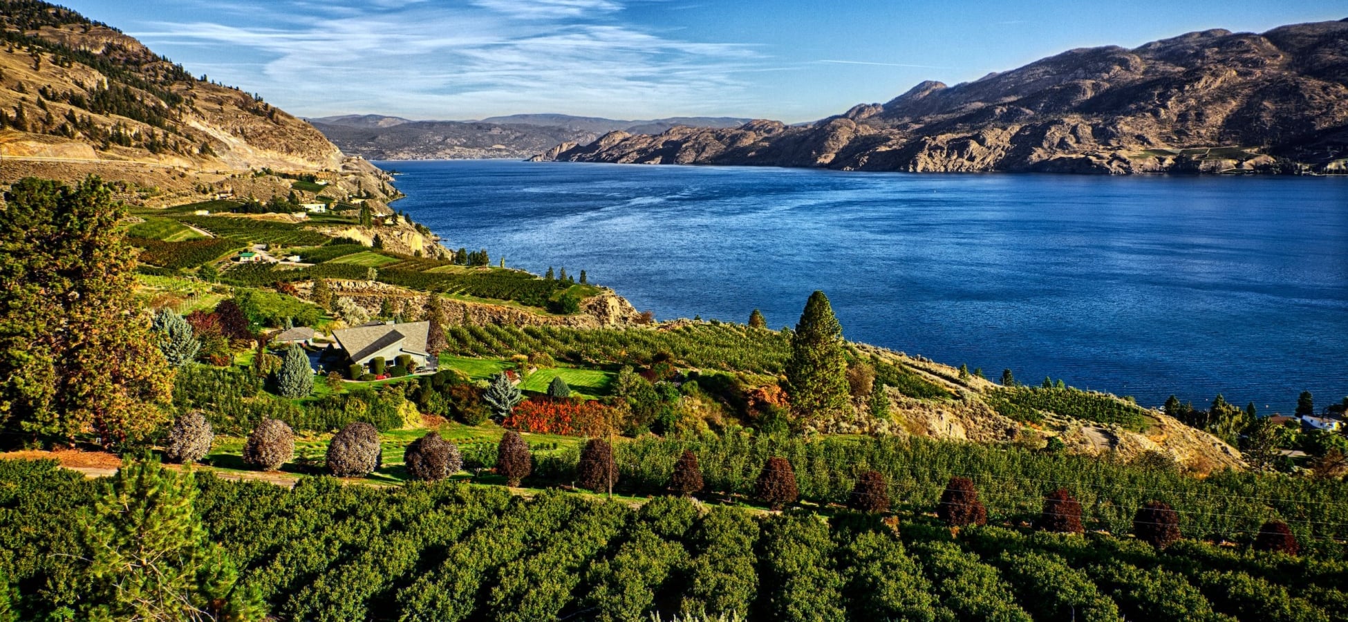 A view of Okanagan Lake from a vineyard in Summerland.