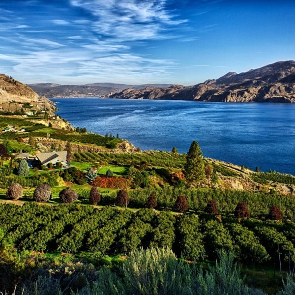 Una vista del lago Okanagan desde un viñedo en Summerland.