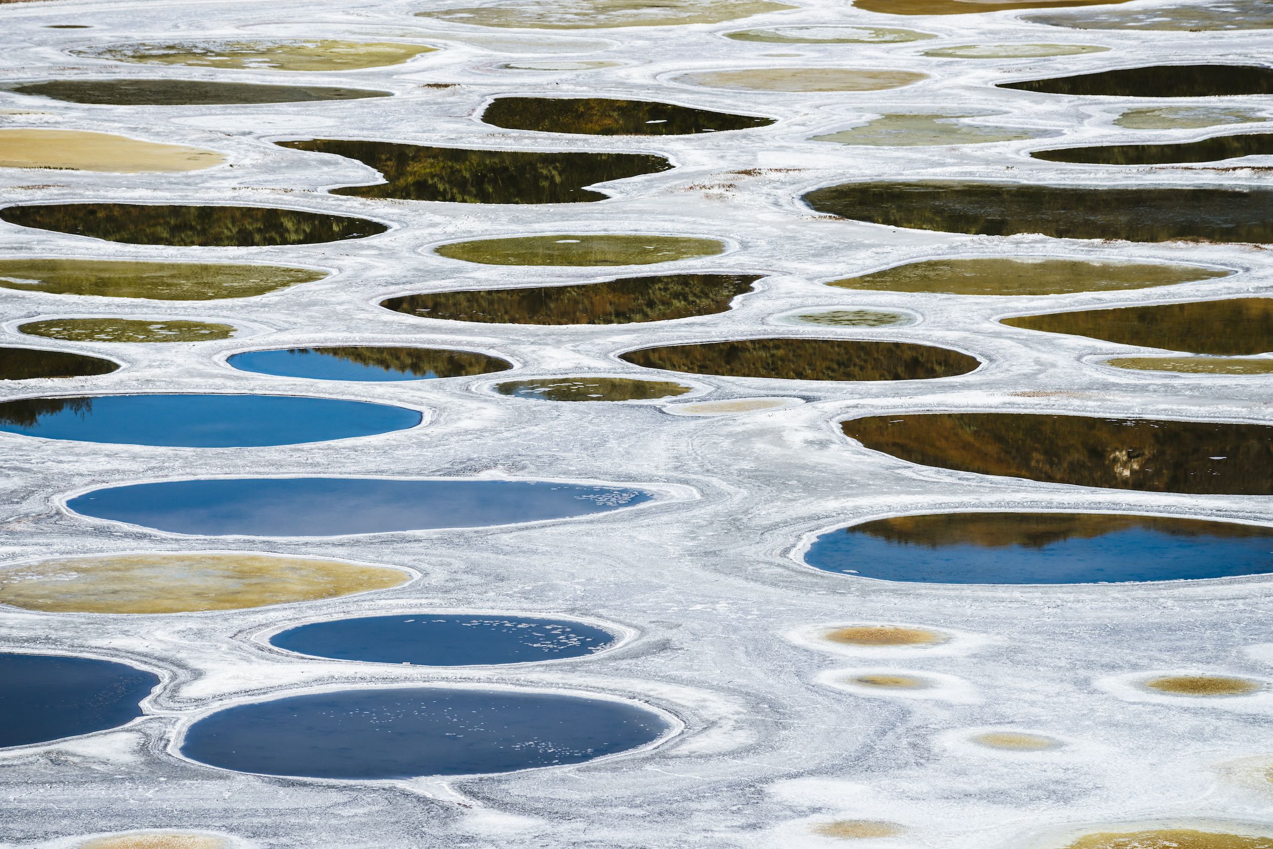 Spotted Lake in Osoyoos