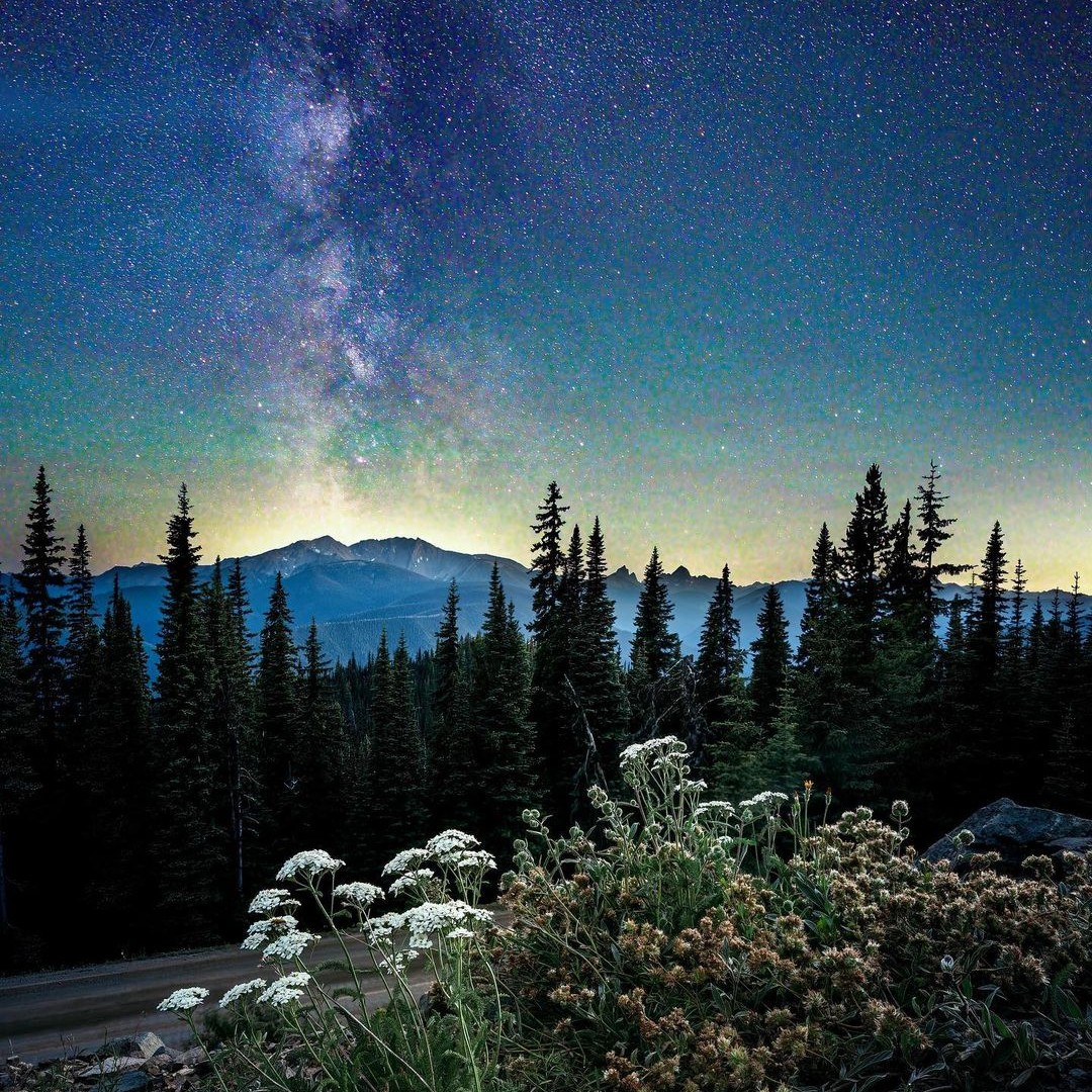 Starry skies at E.C. Manning Park