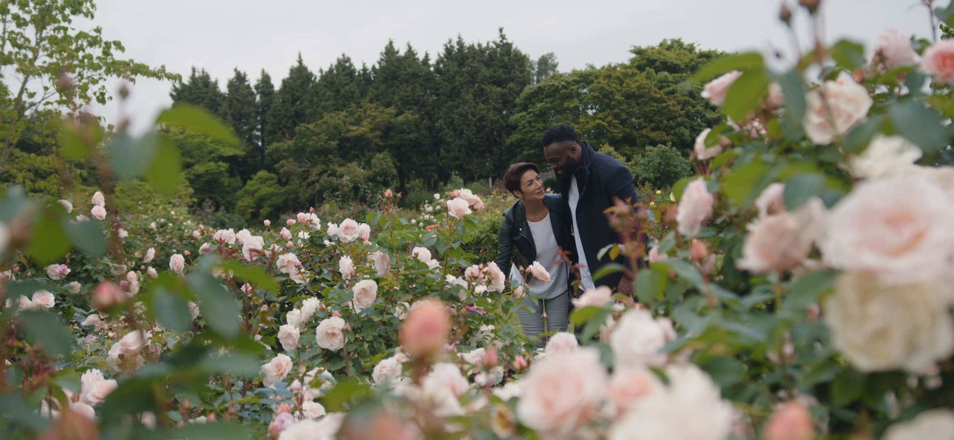 Zwei Personen betrachten die Rosen im Garten des Queen Elizabeth Parks.
