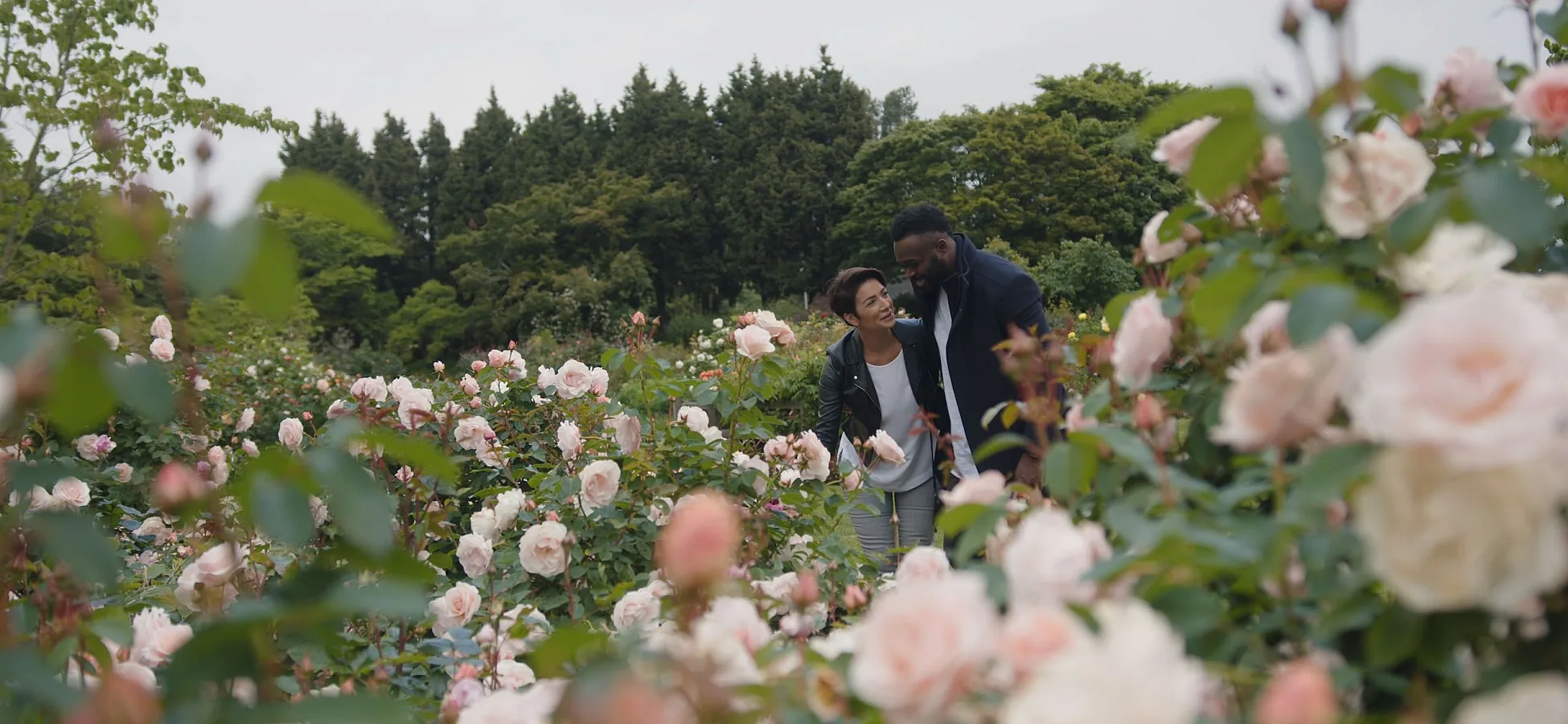 Dos personas observando las rosas en el jardín del Queen Elizabeth Park.