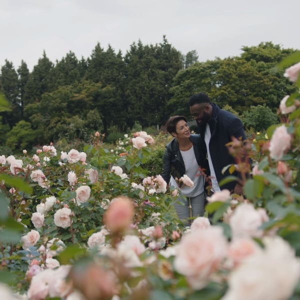 Zwei Personen betrachten die Rosen im Garten des Queen Elizabeth Parks.