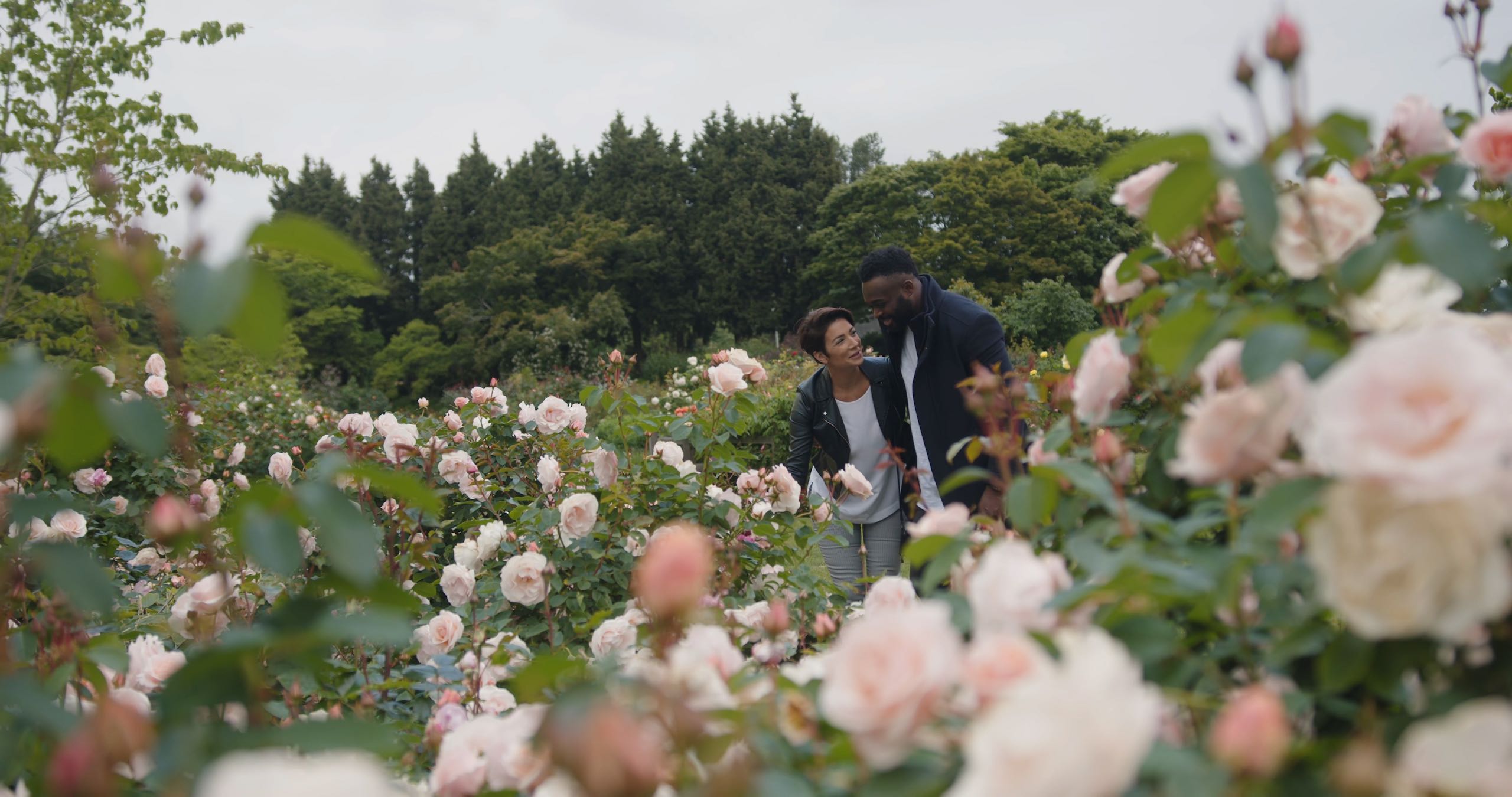 Two people looking at the roses in the garden at Queen Elizabeth Park.
