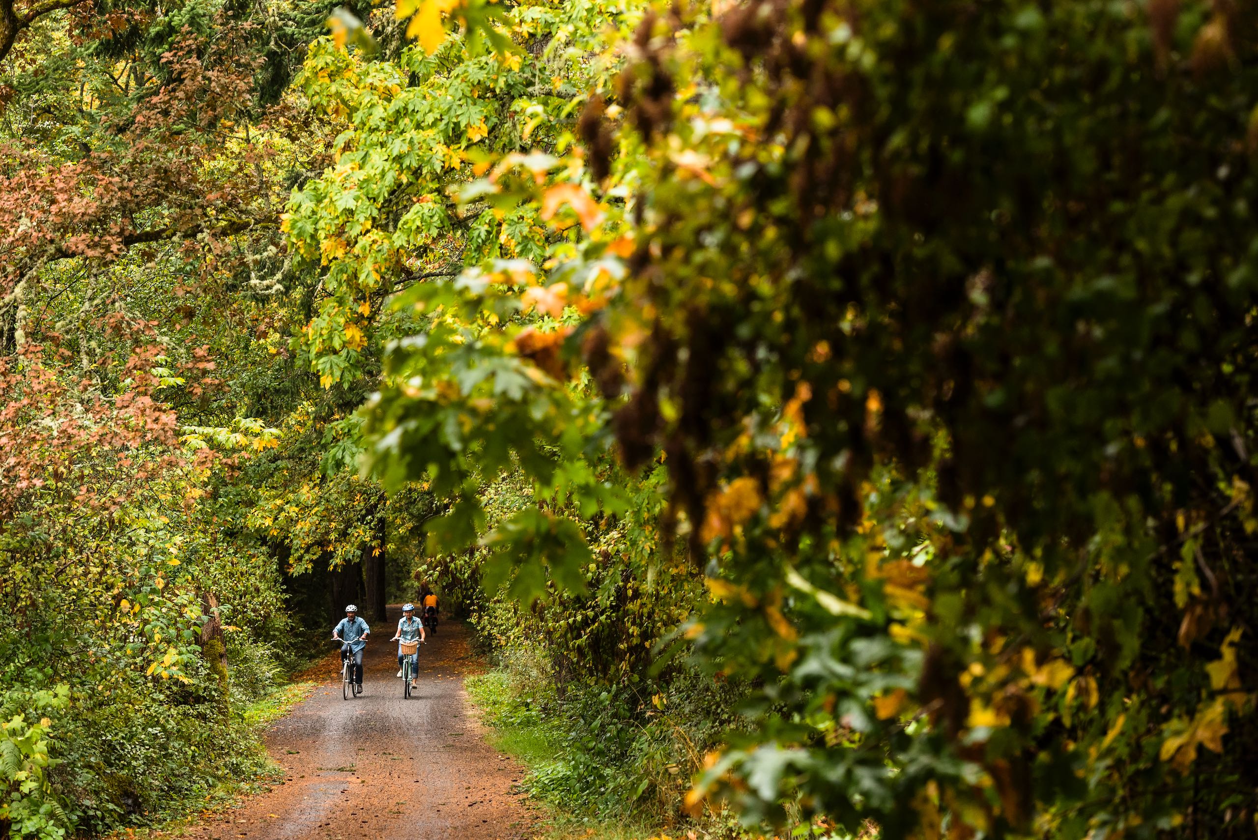 Two people cycling on the Galloping Goose Trail in Victoria