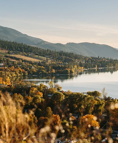 Foto de otoño junto al agua en Coldstream, cerca de Vernon