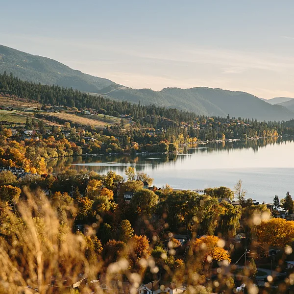 Fall shot by the water in Coldstream near Vernon